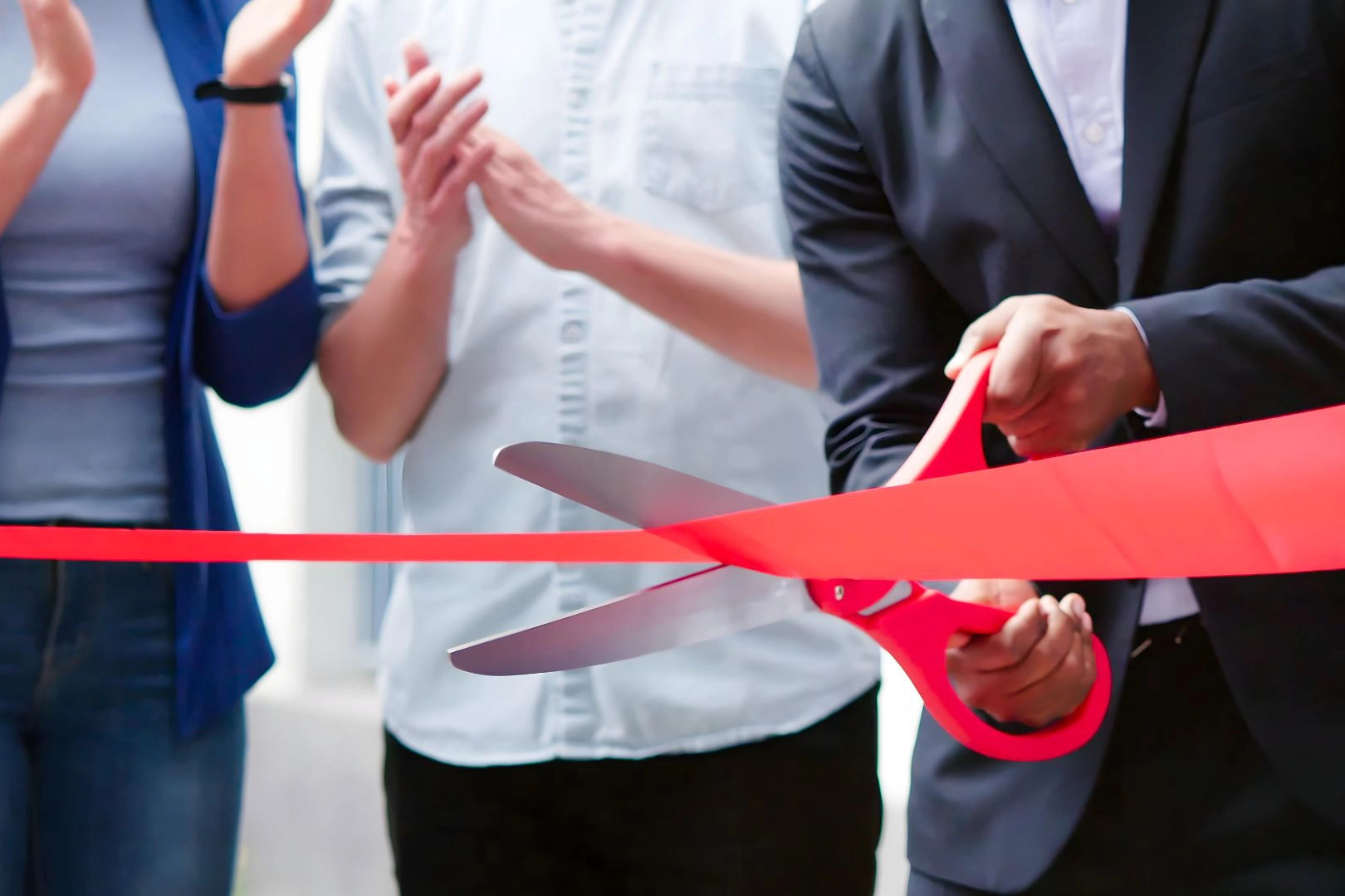 Business Formation and Dissolution